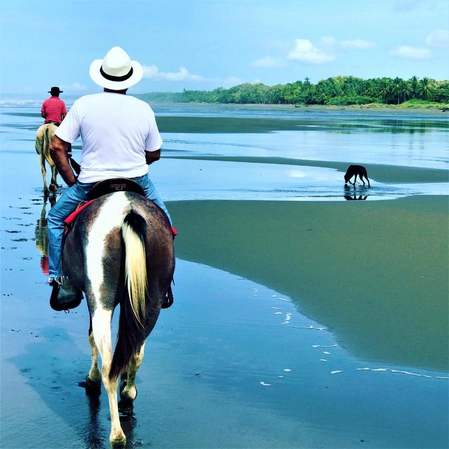 Coco Beach Village Matapalo  المظهر الخارجي الصورة